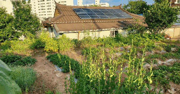 전북특별자치도 익산시 팔봉동 273 대지 경매 물건 이미지