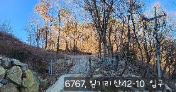 부산광역시 기장군 철마면 임기리 산42-10 임야 경매 물건 이미지