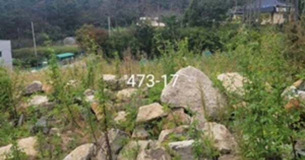 부산광역시 기장군 장안읍 길천리 473-18 과수원 경매 물건 이미지