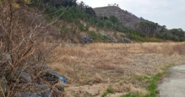전남광주통합특별시 해남군 현산면 황산리 산105-25 임야 경매 물건 이미지