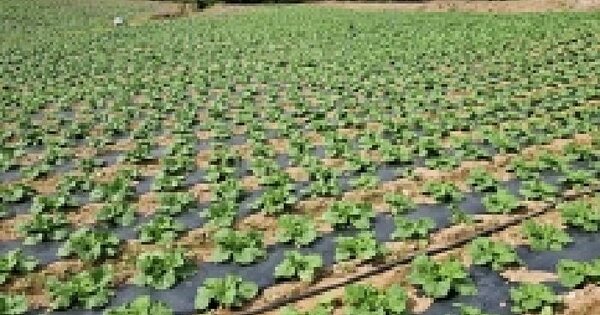 전남광주통합특별시 해남군 북평면 서홍리 564 전 경매 물건 이미지