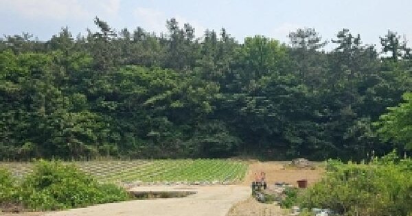 전남광주통합특별시 해남군 마산면 산막리 1 답 경매 물건 이미지