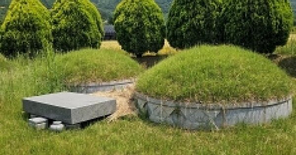 전남광주통합특별시 해남군 마산면 외호리 262 전 경매 물건 이미지