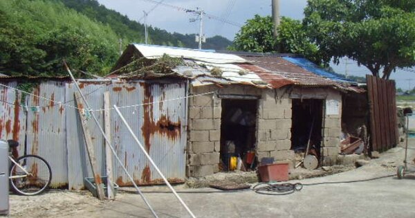 전라남도 완도군 노화읍 동천리 997  단독주택 경매 물건 이미지