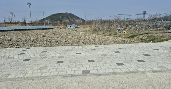 충청남도 부여군 부여읍 구교리 247 답 경매 물건 이미지