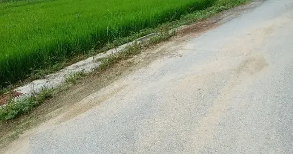 경상북도 영주시 안정면 오계리 397-18 답 경매 물건 이미지