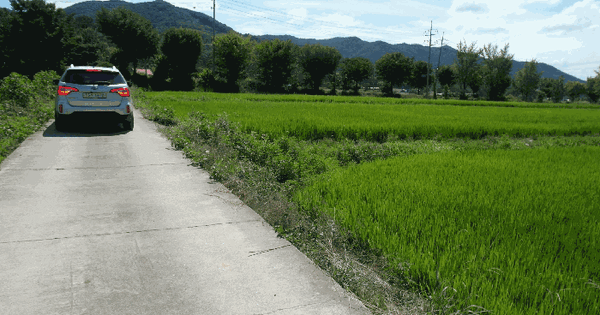 충청남도 논산시 연산면 어은리 607-5  미지정 경매 물건 이미지