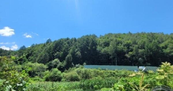 강원특별자치도 평창군 봉평면 창동리 산97-5  미지정 경매 물건 이미지