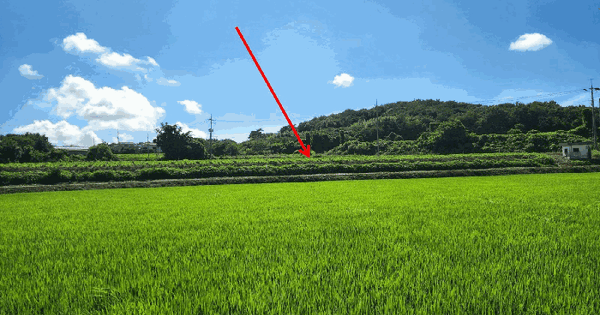 충청남도 서산시 부석면 강당리 461  미지정 경매 물건 이미지