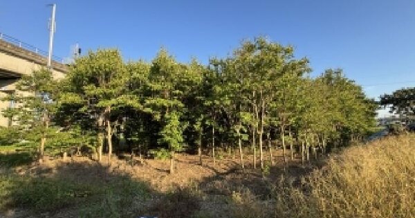 전북특별자치도 군산시 개정면 아동리 39-3  미지정 경매 물건 이미지