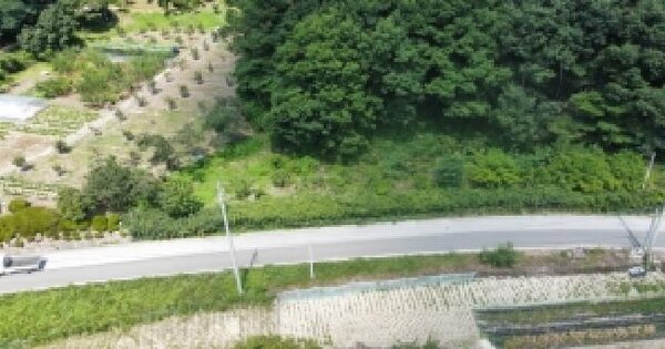 경상북도 김천시 봉산면 상금리 282-1  미지정 경매 물건 이미지