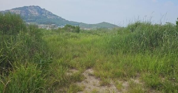 전남광주통합특별시 진도군 군내면 둔전리 1035-1  미지정 경매 물건 이미지