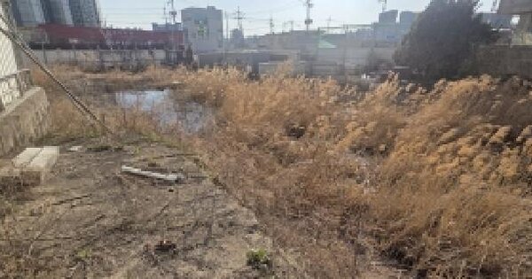 경기도 파주시 문산읍 선유리 679-13 잡종지 경매 물건 이미지