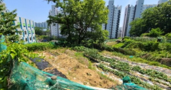 경기도 용인시 기흥구 마북동 266-1 전 경매 물건 이미지
