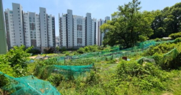 경기도 용인시 기흥구 마북동 267-3 전 경매 물건 이미지