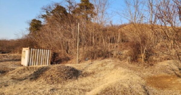 경기도 화성시 만세구 남양읍 장덕리 산53 임야 경매 물건 이미지
