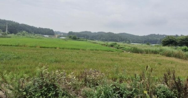 경기도 안산시 단원구 대부남동 1066-65 답 경매 물건 이미지