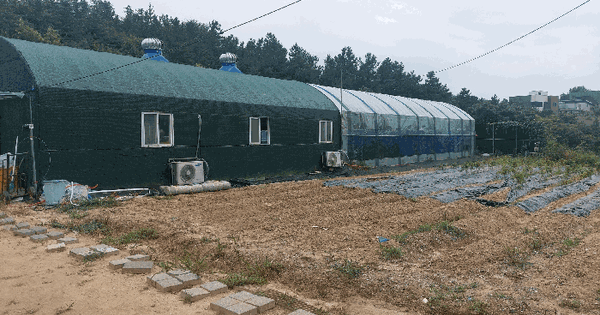 경기도 안산시 단원구 대부북동 1577 답 경매 물건 이미지