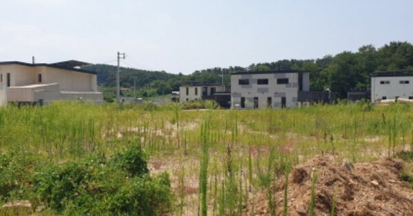 경기도 안산시 단원구 대부남동 519-123 전 경매 물건 이미지