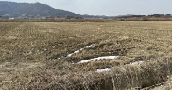 충청북도 보은군 삼승면 천남리 771 답 경매 물건 이미지