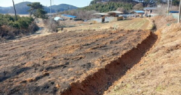충청남도 당진시 석문면 삼봉리 575-6 전 경매 물건 이미지