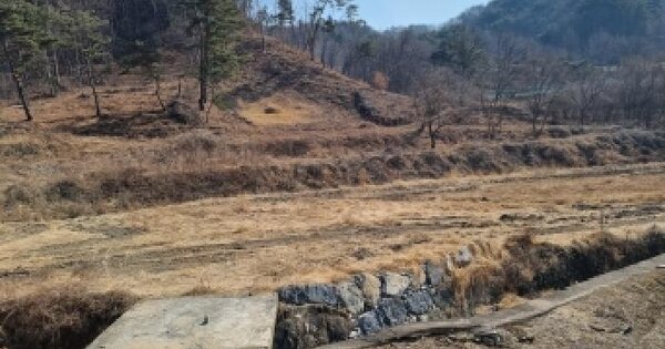 충청남도 금산군 남이면 흑암리 58-3 답 경매 물건 이미지