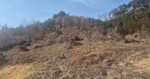충청남도 천안시 동남구 병천면 관성리 산30-1 임야 경매 물건 이미지