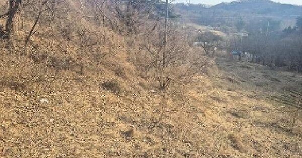 충청남도 천안시 동남구 병천면 관성리 234 전 경매 물건 이미지