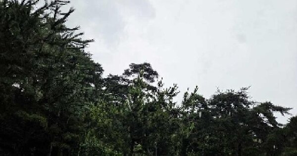 충청남도 아산시 송악면 송학리 119-1 전 경매 물건 이미지