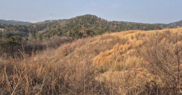 울산광역시 울주군 온산읍 학남리 산170-3 임야 경매 물건 이미지