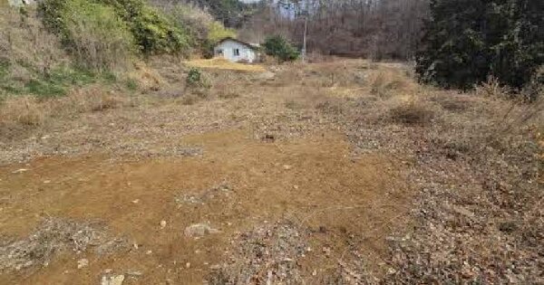 부산광역시 금정구 금성동 90 전 경매 물건 이미지