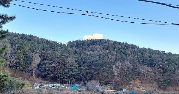 부산광역시 금정구 남산동 산54 임야 경매 물건 이미지