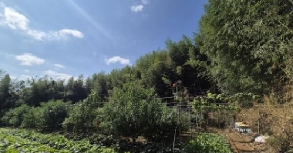 부산광역시 강서구 봉림동 388 전 경매 물건 이미지