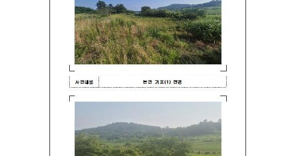 전남광주통합특별시 무안군 망운면 탄도리 산33-2  미지정 경매 물건 이미지