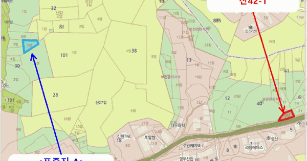 경기도 김포시 월곶면 고막리 산42-1  미지정 경매 물건 이미지