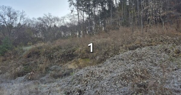 경기도 양평군 지평면 월산리 산152-3 임야 경매 물건 이미지