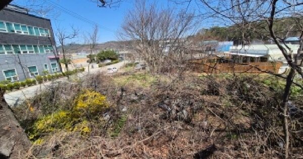 세종특별자치시 금남면 두만리 334-3 대지 경매 물건 이미지