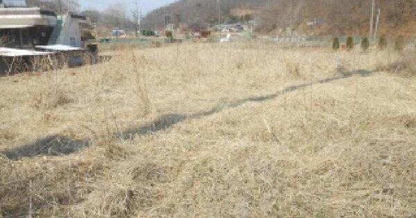 세종특별자치시 조치원읍 봉산리 262-5 답 경매 물건 이미지