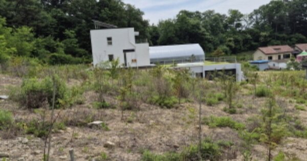 세종특별자치시 금남면 대박리 364-1 임야 경매 물건 이미지