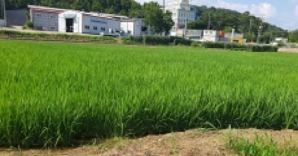 경기도 화성시 효행구 봉담읍 덕우리 208-9 답 경매 물건 이미지