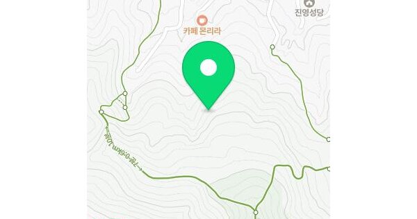 경상남도 김해시 진영읍 진영리 113-2  미지정 경매 물건 이미지