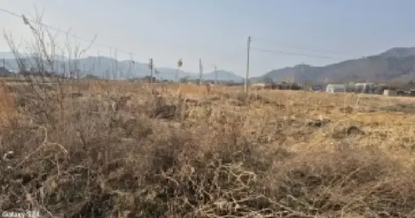 전남광주통합특별시 나주시 남평읍 우산리 535-4 전 경매 물건 이미지