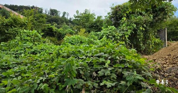 경기도 양평군 서종면 수입리 820-10  미지정 경매 물건 이미지