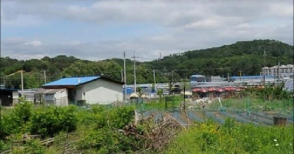 충청북도 음성군 금왕읍 용계리 258-2  미지정 경매 물건 이미지