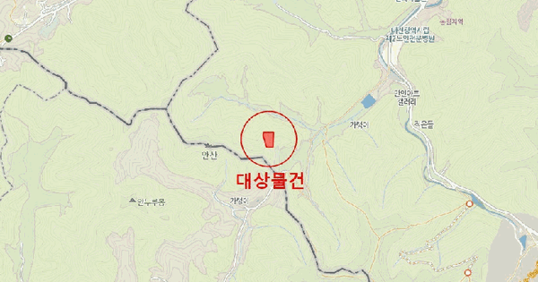 대전광역시 동구 하소동 산29-7  미지정 경매 물건 이미지