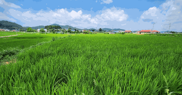 충청남도 서천군 한산면 성외리 12-2  미지정 경매 물건 이미지