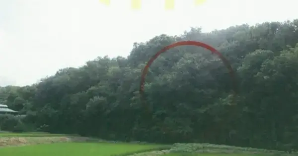 경기도 여주시 오금동 산38-20 임야 경매 물건 이미지