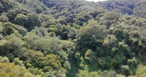 경상남도 합천군 덕곡면 율원리 811  미지정 경매 물건 이미지