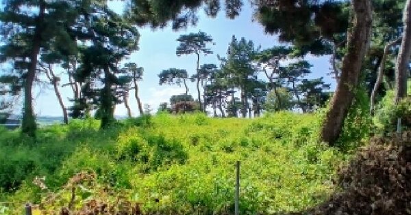 전북특별자치도 익산시 용동면 화실리 299-1  미지정 경매 물건 이미지