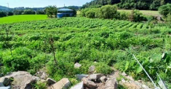 전북특별자치도 익산시 낭산면 낭산리 161-3  미지정 경매 물건 이미지